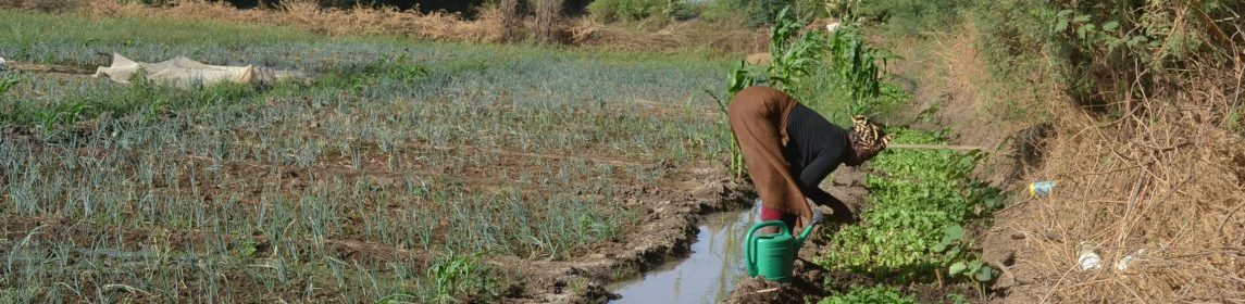 agricultrice