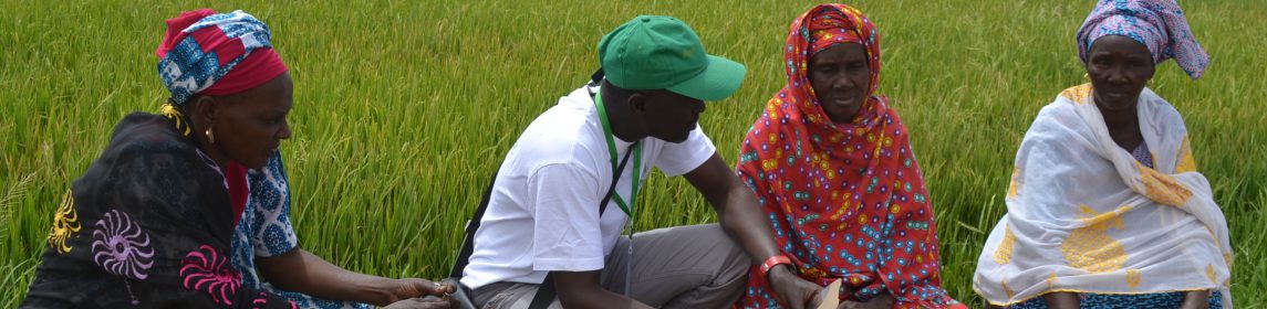 dialogue agri agent